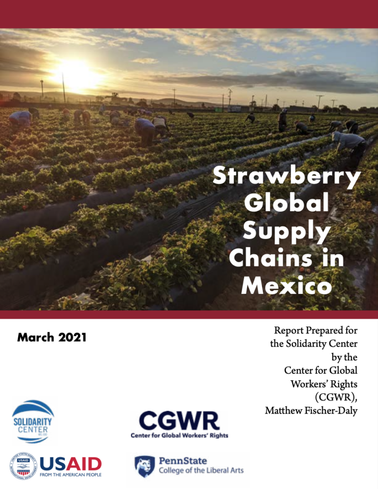 Cover of Report "Strawberry Global Supply Chains in Mexico"