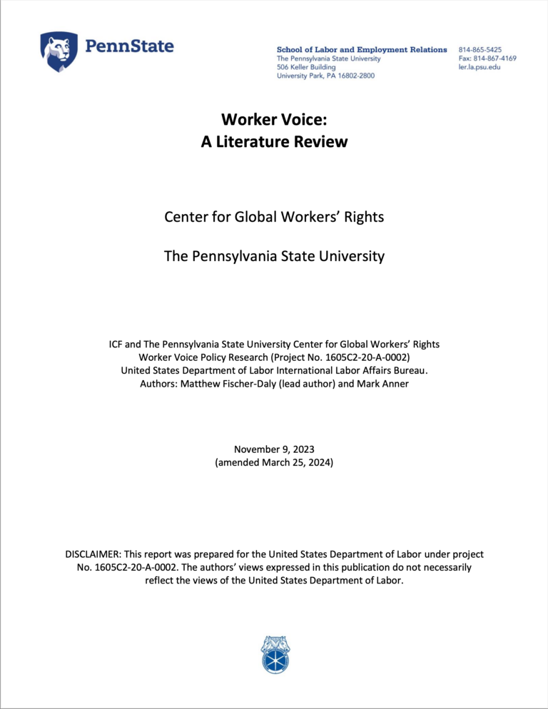 A cover of the paper: Worker Voice: A Literature Review